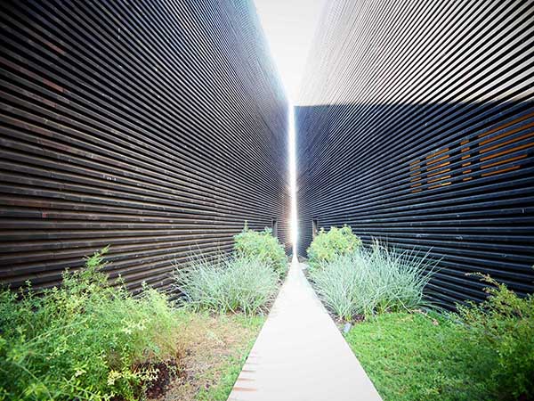 関西万博アメリカ館