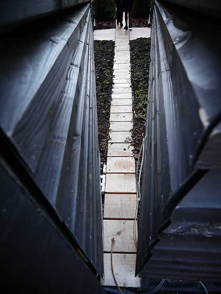 関西万博アメリカ館