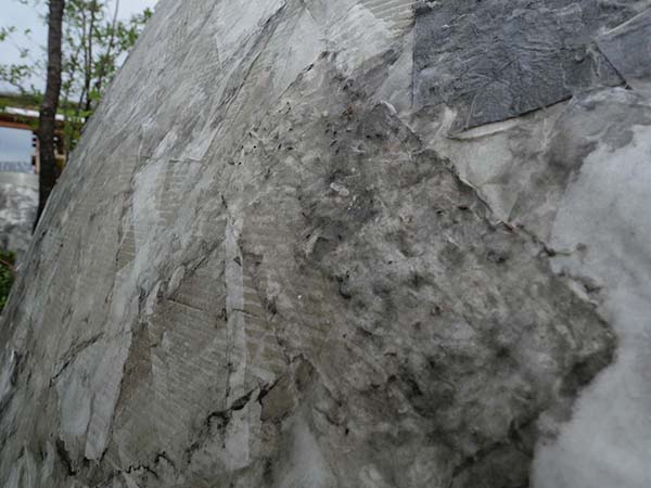 万博-森になる建築