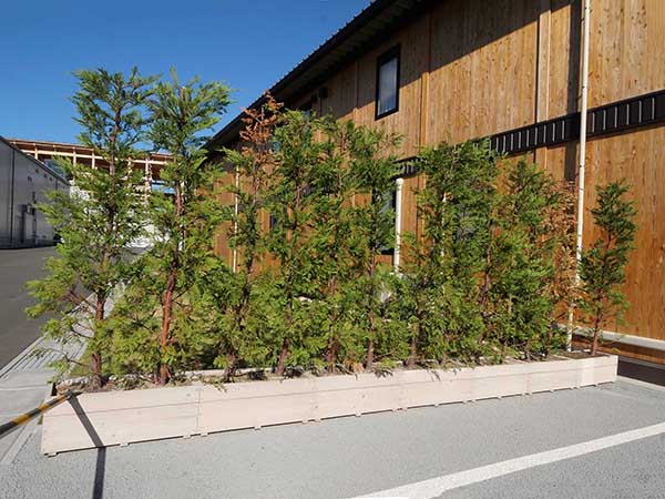 2025万博住友館