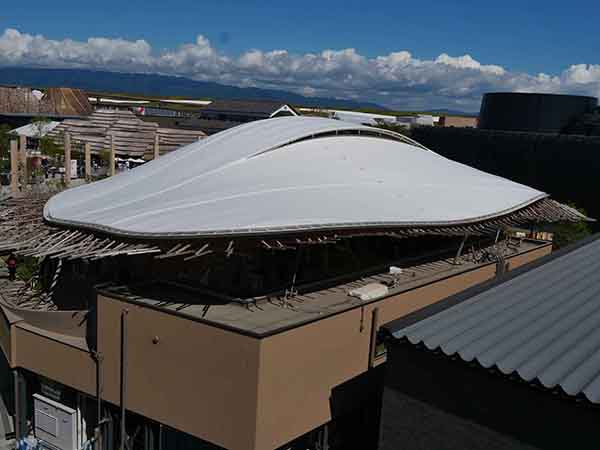 関西万博くらげ館