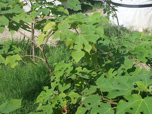 関西万博ポップアップ北