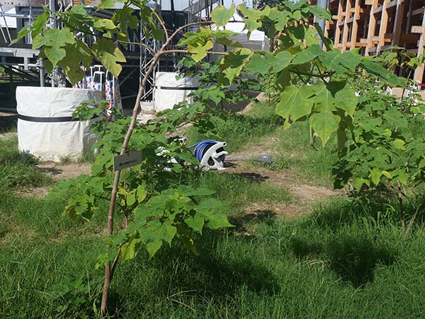 関西万博ポップアップ北