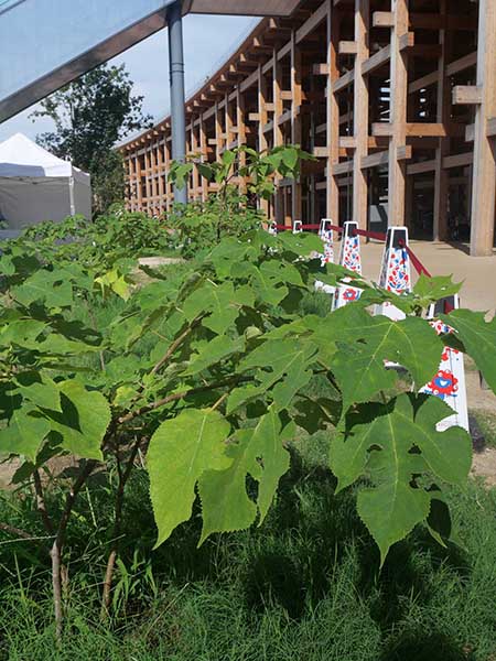 関西万博ポップアップ北