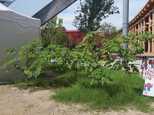 関西万博ポップアップ北