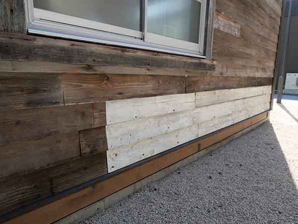 関西万博-いのちのあかし