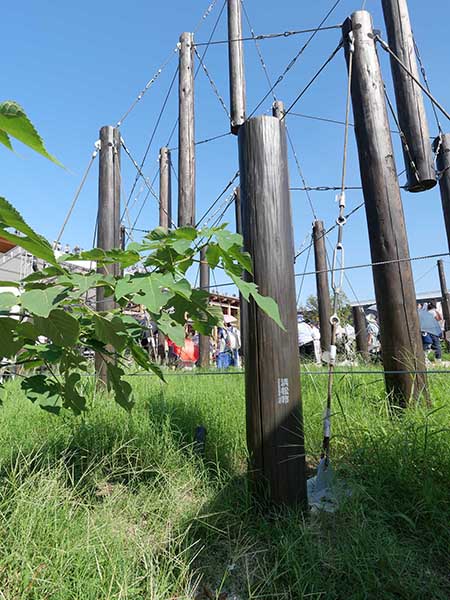 関西万博ポップアップ北