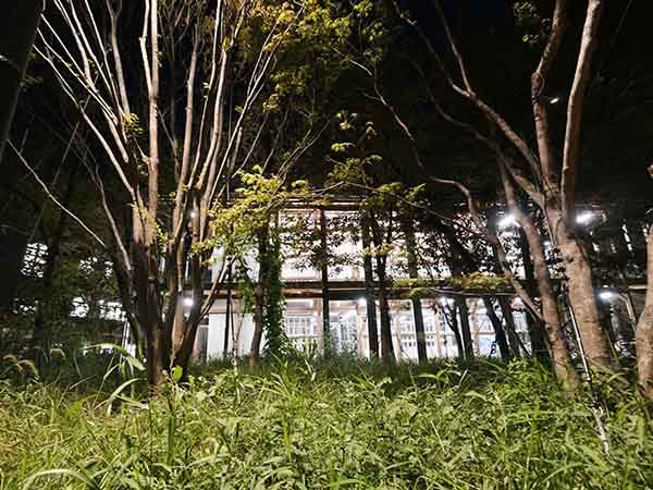 関西万博-いのちのあかし