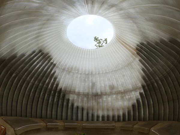 万博-森になる建築