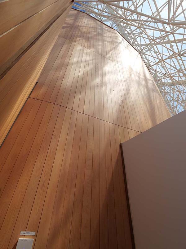 大阪ヘルスケアパビリオン