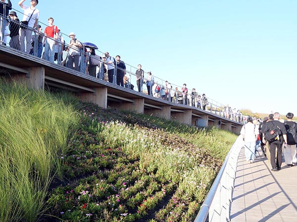 大屋根リング上部から