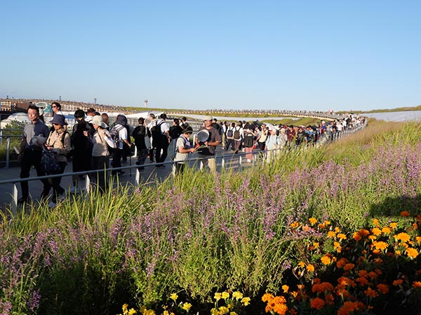 大屋根リング上部から
