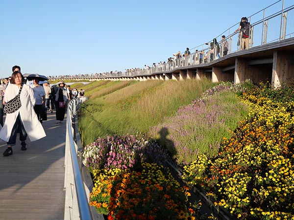 大屋根リング上部から