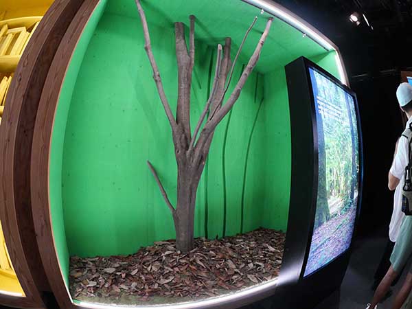 万博-ルクセンブルグ館