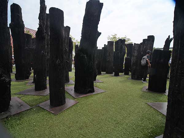 万博-文明の森-オーク亜化石