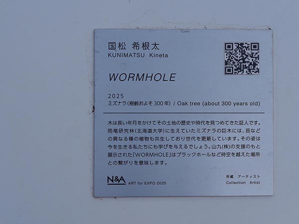 関西万博wormhole