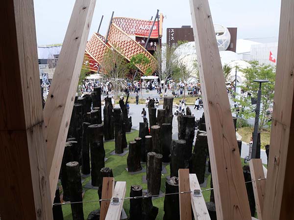 文明の森オーク亜化石