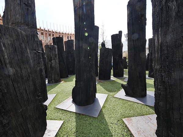 文明の森オーク亜化石