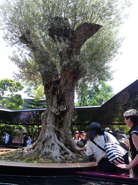 関西万博モナコ館