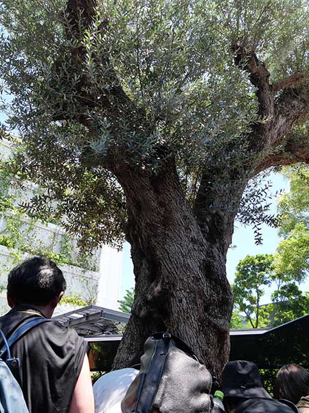 関西万博モナコ館