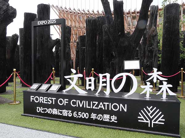 万博-文明の森-オーク亜化石