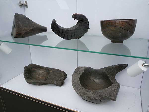 関西万博オーク亜化石