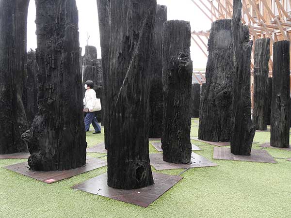 万博-文明の森-オーク亜化石