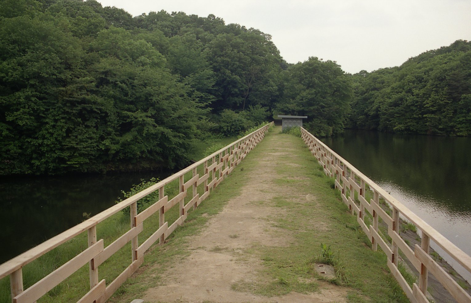 木橋-中川木材産業施工