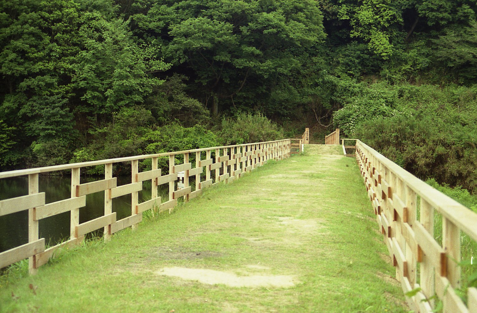 木橋-中川木材産業施工