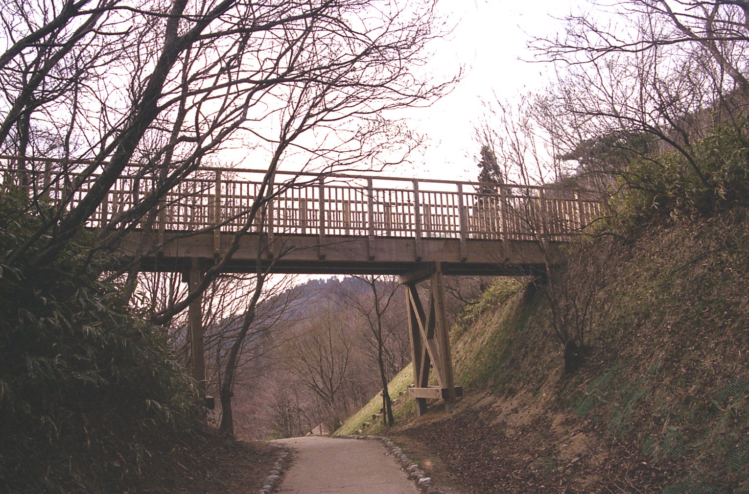 木橋-中川木材産業施工