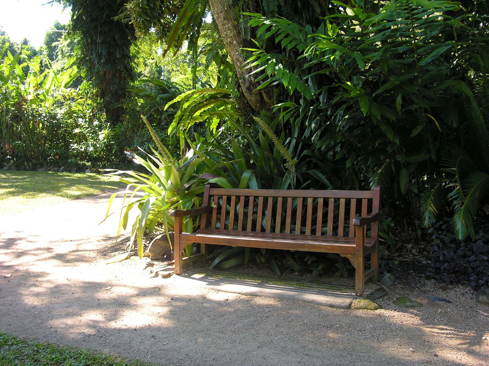 フッカー植物園のベンチ