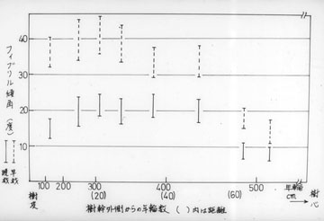 フィブリル傾角