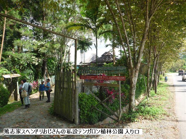 スヘンドリおじさんの私設植林公園