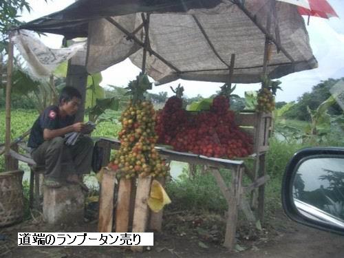 道端のランプータン売り