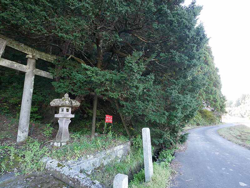 諏訪神社のあかぎ