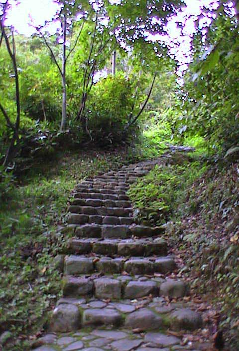 石徹白の大すぎ