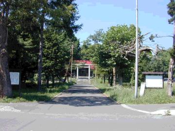 来知神社のあかまつ