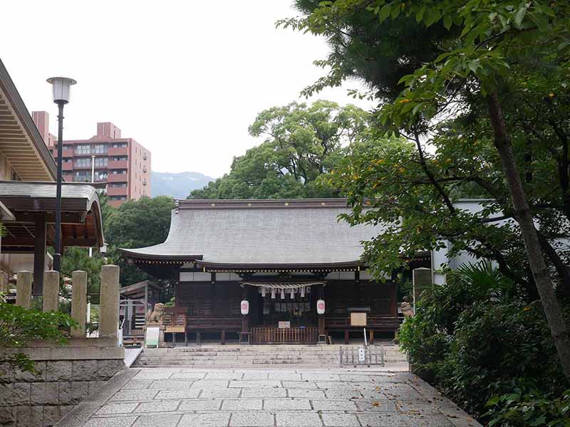 弓弦羽神社のムクノキ