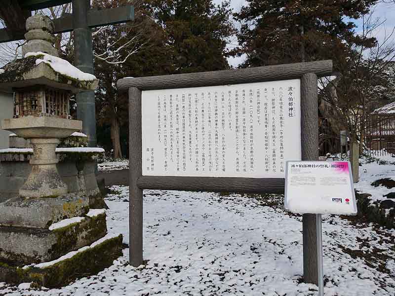 波々伯部神社のスギ