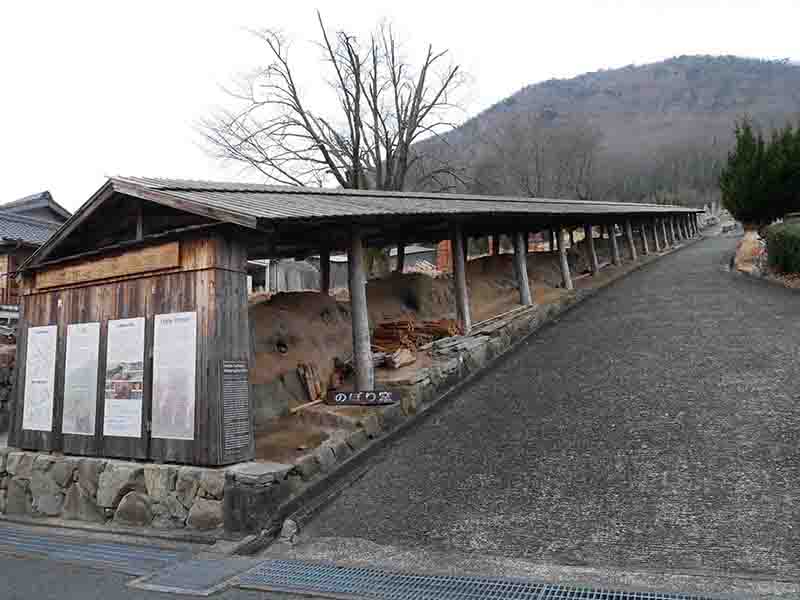 上立杭の大アベマキ