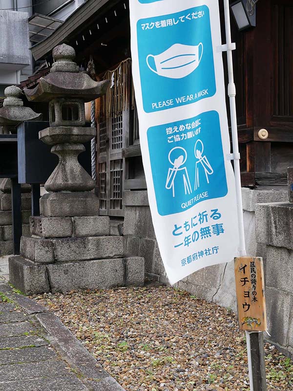 大将軍神社のイチョウ