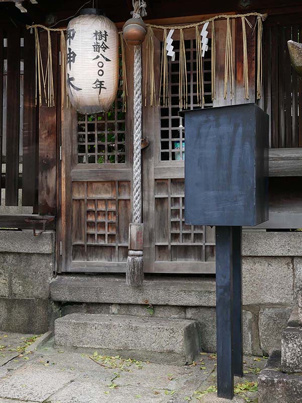 大将軍神社のイチョウ