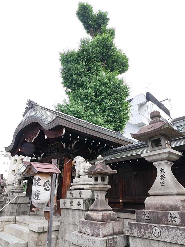 大将軍神社のイチョウ