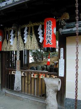 ２０００年新熊野神社の大樟