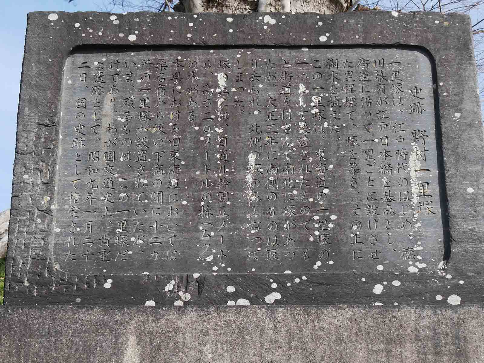 上野村一里塚のムク