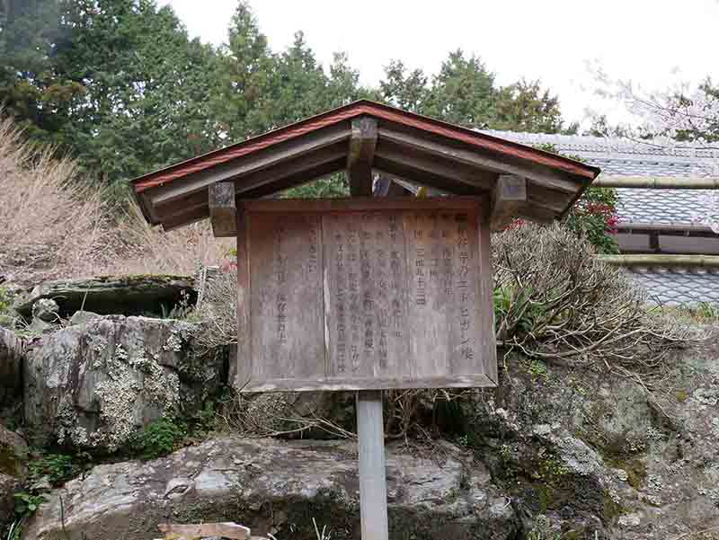 春谷寺のエドヒガン桜