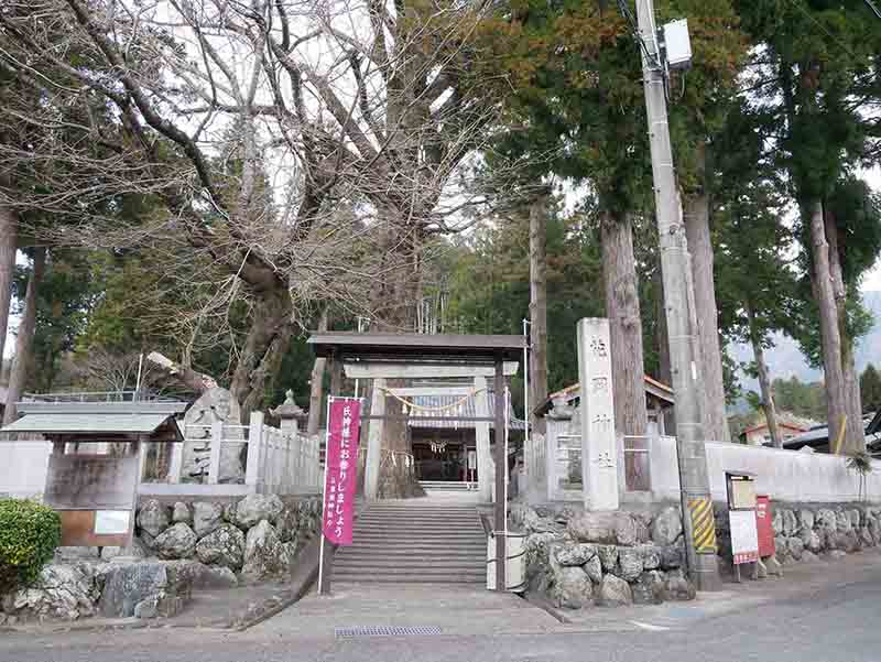 花岡神社のイチョウ