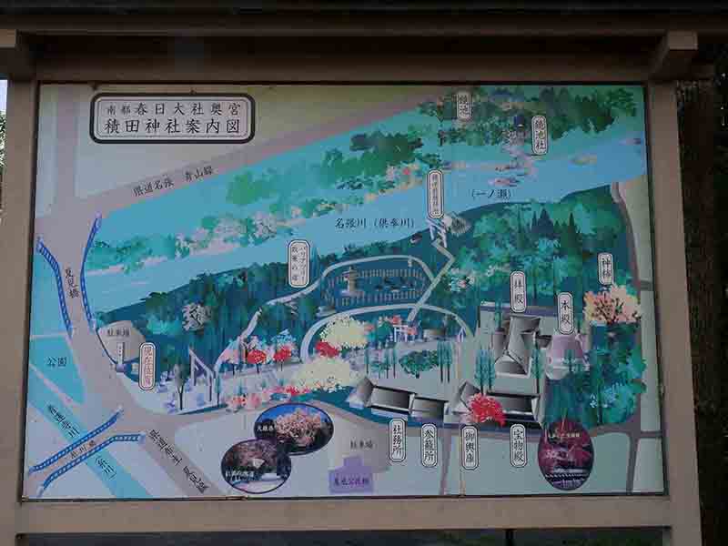 積田神社の神柿