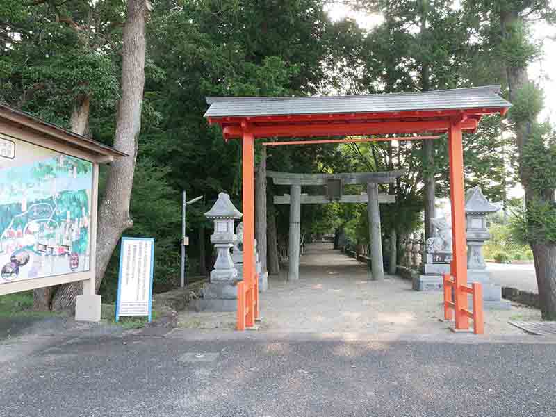 積田神社のイチヨウ