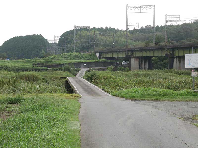 石橋のエノキ